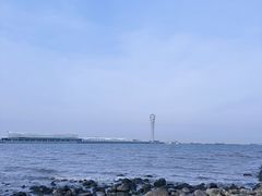 -上海吴淞炮台湾国家湿地公园