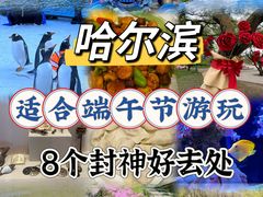 -老妈厨房团圆饺子东北菜(北环路店)