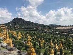 -东芭乐园