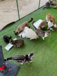 -萌宠亲子动物乐园(槐房万达店)