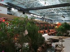 -森谷美食公园(杨行店)