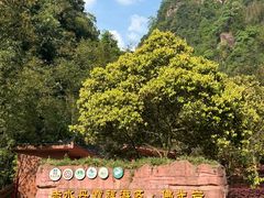 -赤水丹霞旅游区·佛光岩