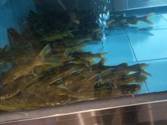 -上菜呷饭(花溪店)
