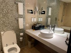 -国家会议中心大酒店