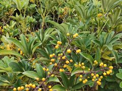 -中国移动南方基地