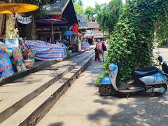 -西双版纳傣族园