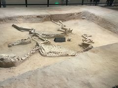 -洛阳周王城天子驾六博物馆