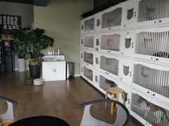 -东方名猫馆·英短金渐层布偶猫舍(环线广场1号楼店)