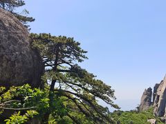 -文娟土菜馆(天柱山店)
