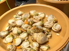 扇贝-龍歌自助小火锅(城阳万象汇店)