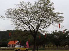 -南沙蒲洲花园