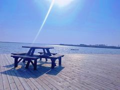 -盐城丹顶鹤湿地生态旅游区