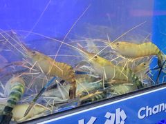 -龙湖重庆时代天街