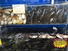 -蚝专家(北滘店)