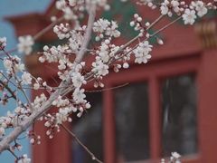 -伊犁老城喀赞其民俗旅游区