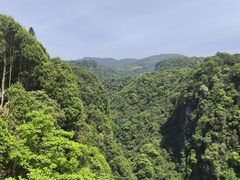 -碧峰峡风景区