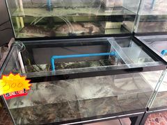 -蘭桂坊海鲜烧烤抖音网红餐厅