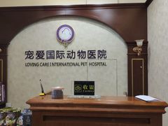 -宠爱国际动物医院· 猫科· 外科·中兽医(长白店)