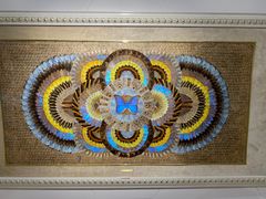 -上海昆虫博物馆