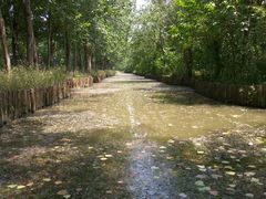 -溱湖国家湿地公园