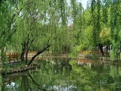 -草庐酒家