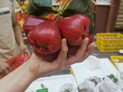 -三亚新鸿港水果一级批发市场