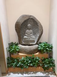 -雅曼妮spa美容养生