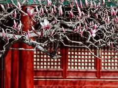-潭柘寺景区