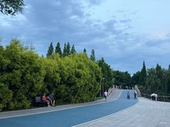 -眉山湿地公园(东坡区)