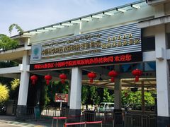 -中国科学院西双版纳热带植物园