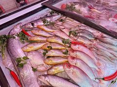 -汕头龙光喜来登酒店