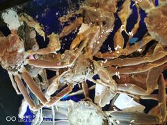 -蟹道乐(道顿堀本店)