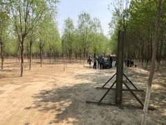 -亲兄弟真人CS团建拓展基地