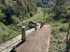 -长沙黑麋峰国家森林公园