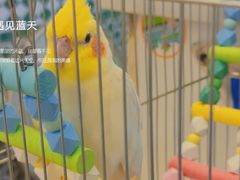 -捌贰虾蟹·江湖菜馆(江汉路店)