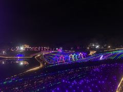 -大塘金香草谷