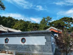 -阳台山自然风景区