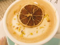 秋酿咖啡-MZ猫咖