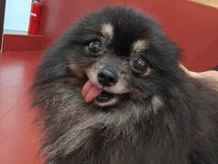 -和它·交个朋友·狗咖猫咖(爱琴海店)