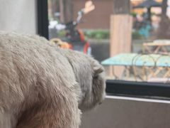 -漆黑觉米粉(三里屯店)