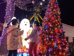 -锦江乐园舞狸花花游园会(夜场专享)