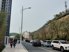 -小南山公园