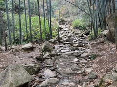 -莫干山风景区