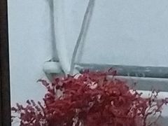 -秦美花卉(天朗·莱茵小城2期店)