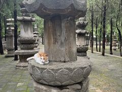 -四门塔风景区