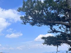 -牛背梁国家森林公园