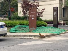 -味千拉面(常州关河东路分店)