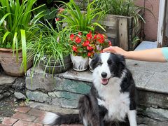 -哈尔滨北方国际青年旅舍(中央大街店)