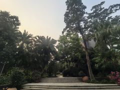-三亚湾红树林度假世界(木棉酒店)