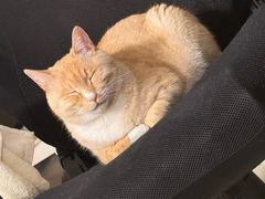 -必胜客(欧亚卖场店)